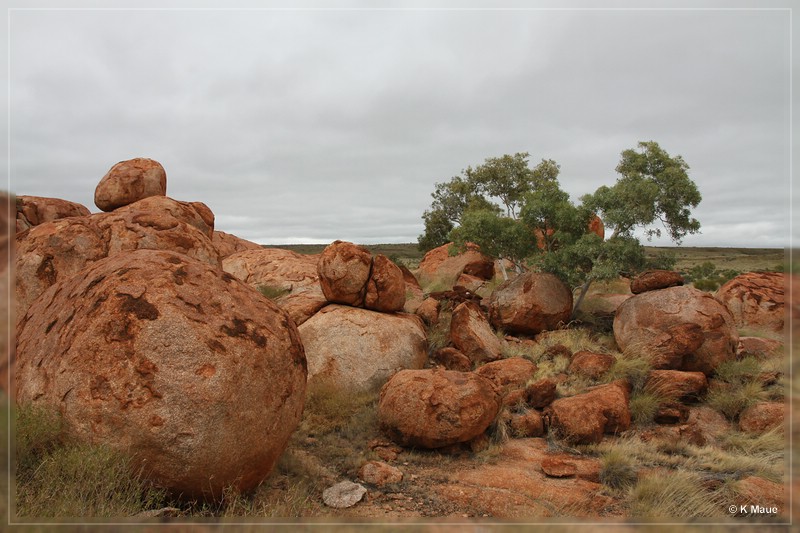 austr2011_102.jpg