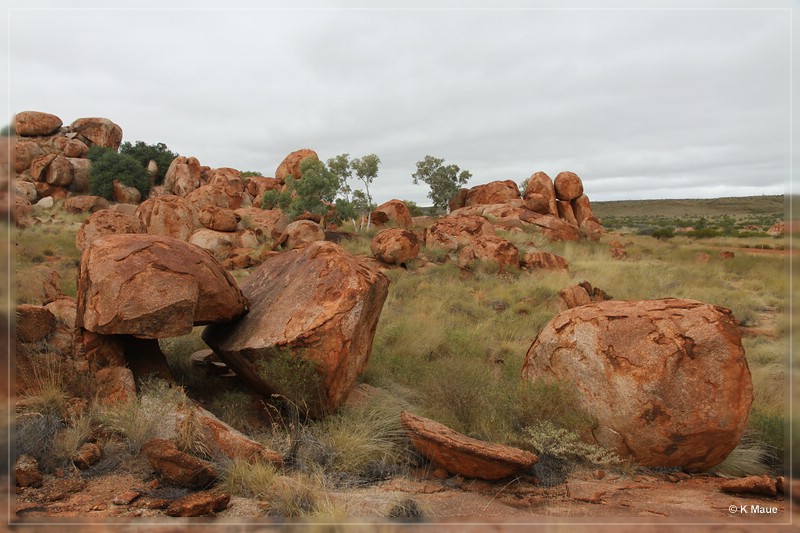 austr2011_105.jpg