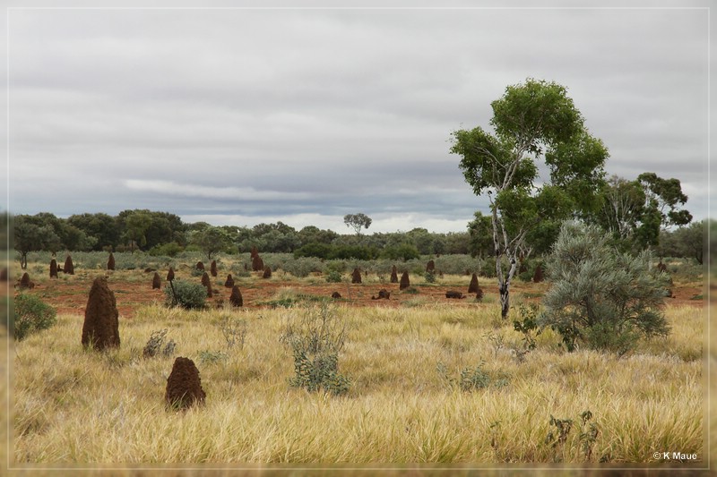austr2011_111.jpg