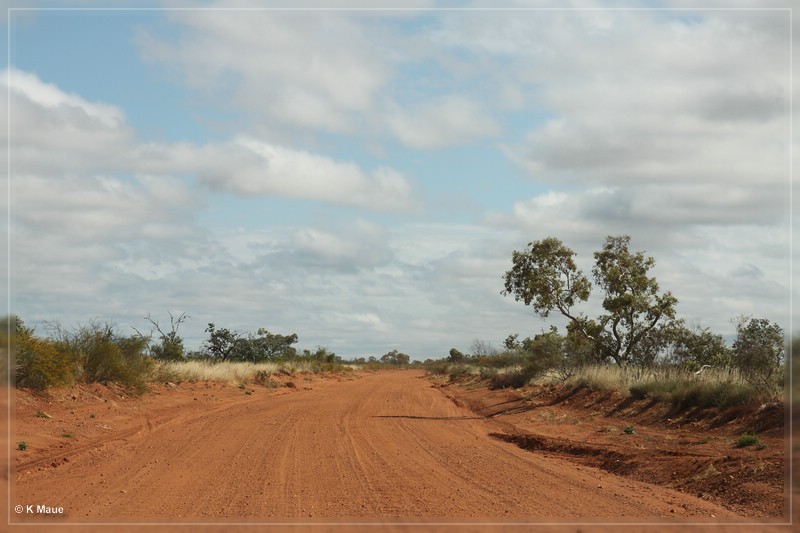 austr2011_113.jpg