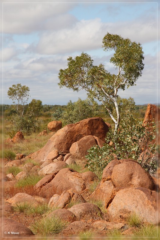 austr2011_116.jpg