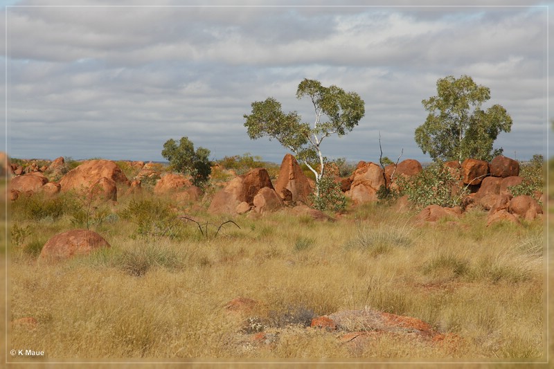 austr2011_117.jpg