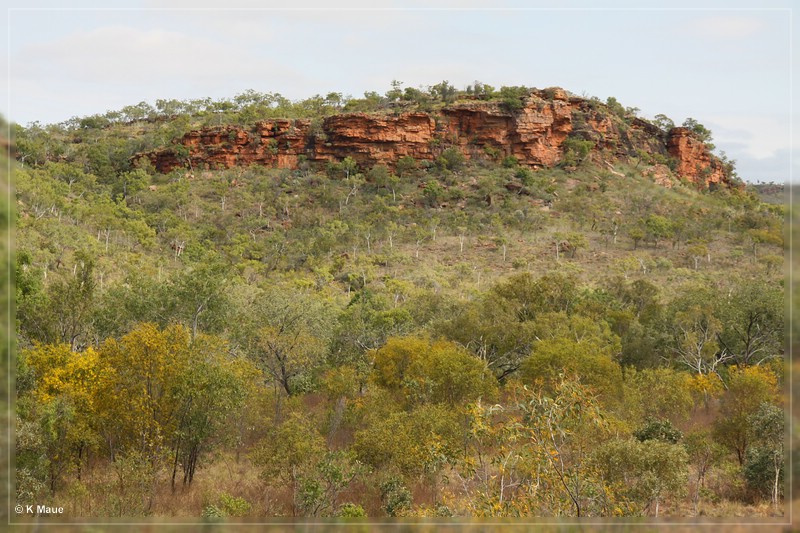 austr2011_140.jpg
