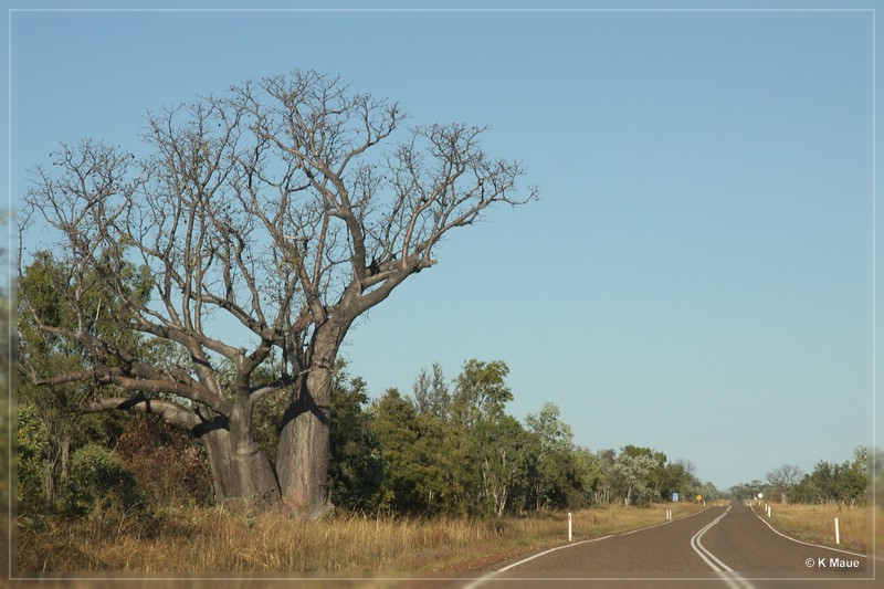 austr2011_151.jpg
