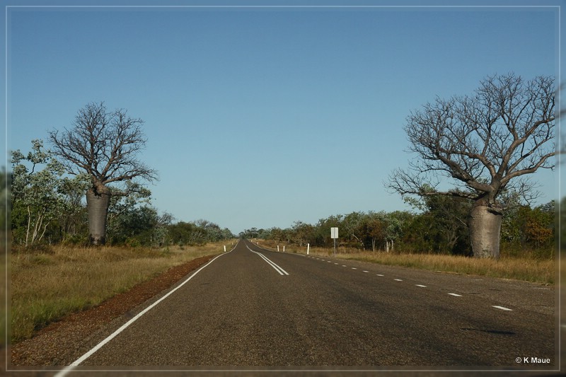 austr2011_152.jpg