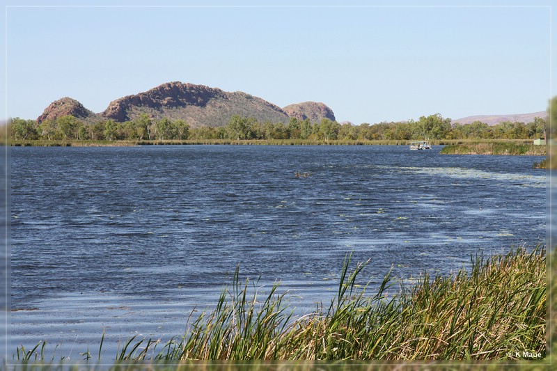 austr2011_155.jpg