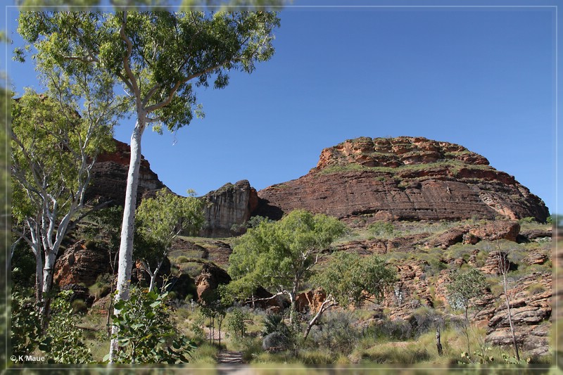 austr2011_168.jpg