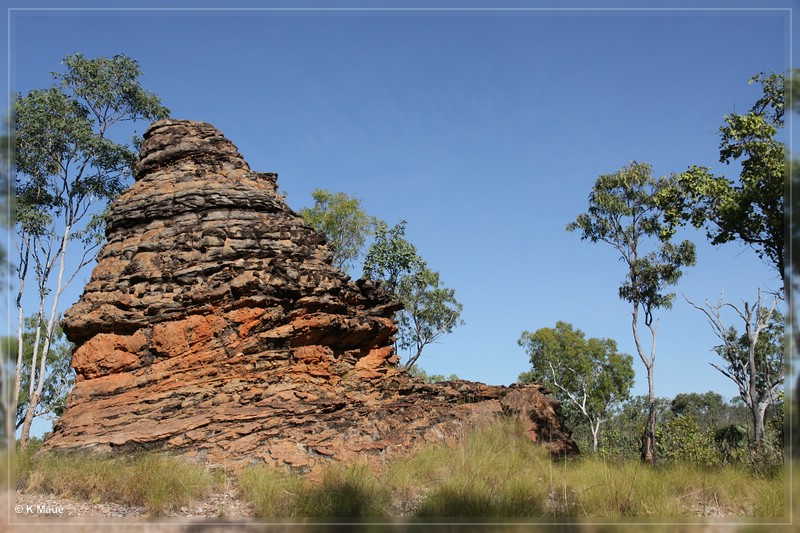 austr2011_169.jpg