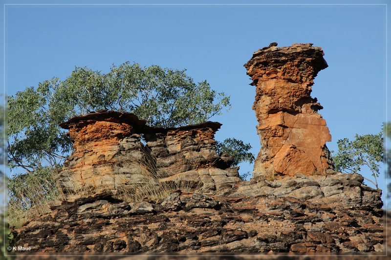 austr2011_170.jpg