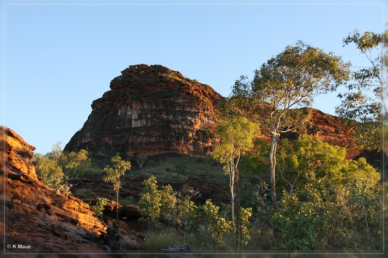 austr2011_172.jpg