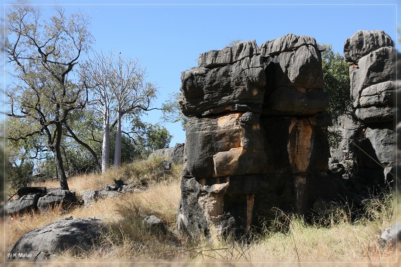 austr2011_185.jpg