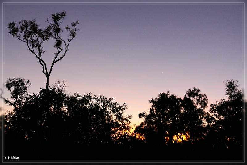 austr2011_193.jpg