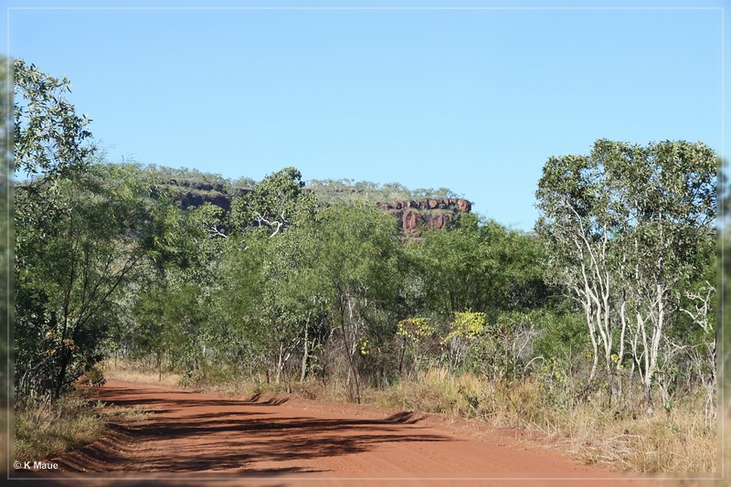 austr2011_194.jpg