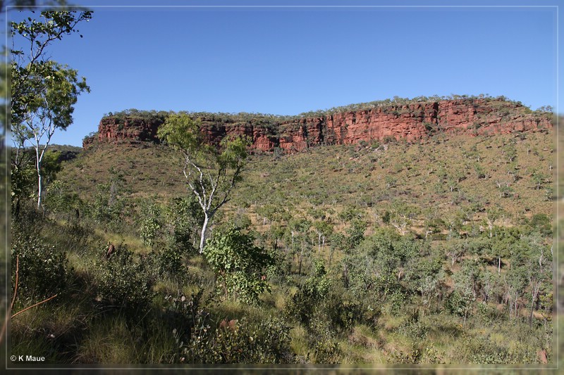 austr2011_195.jpg