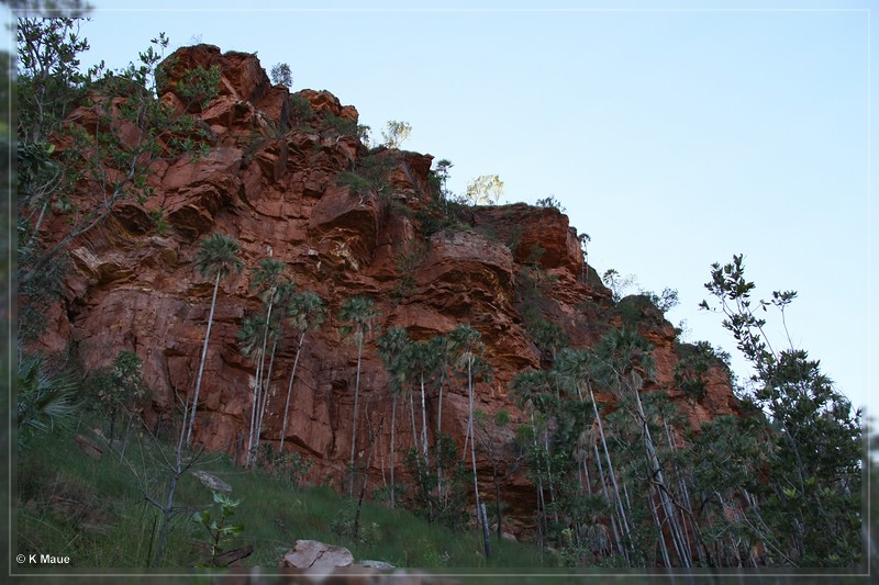 austr2011_196.jpg