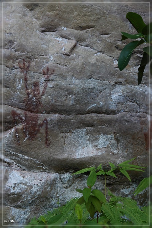 austr2011_202.jpg