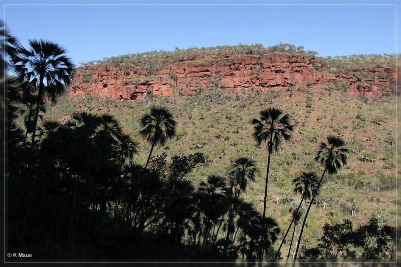 austr2011_205.jpg
