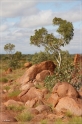 austr2011_116
