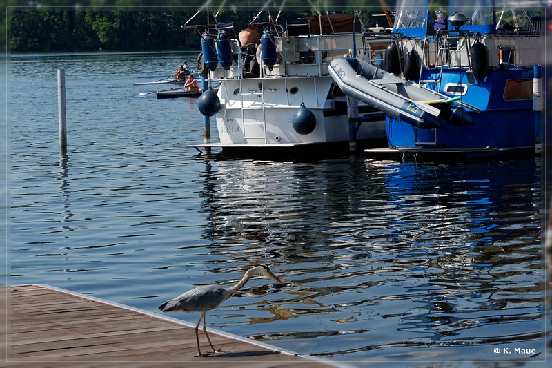 ostdeutschland_2019_080.jpg