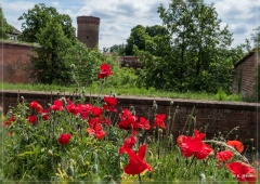 ostdeutschland_2019_026