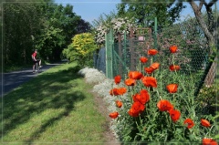 ostdeutschland_2019_071