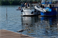 ostdeutschland_2019_080