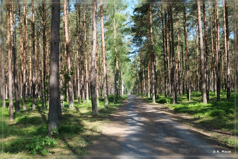 ostdeutschland_2019_130.jpg