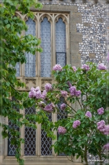 UK_2017_109
