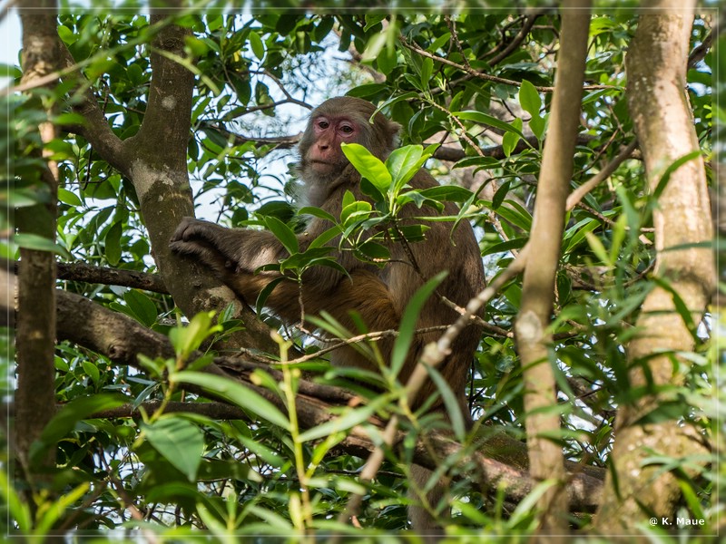 HongKong_2018_0393.jpg