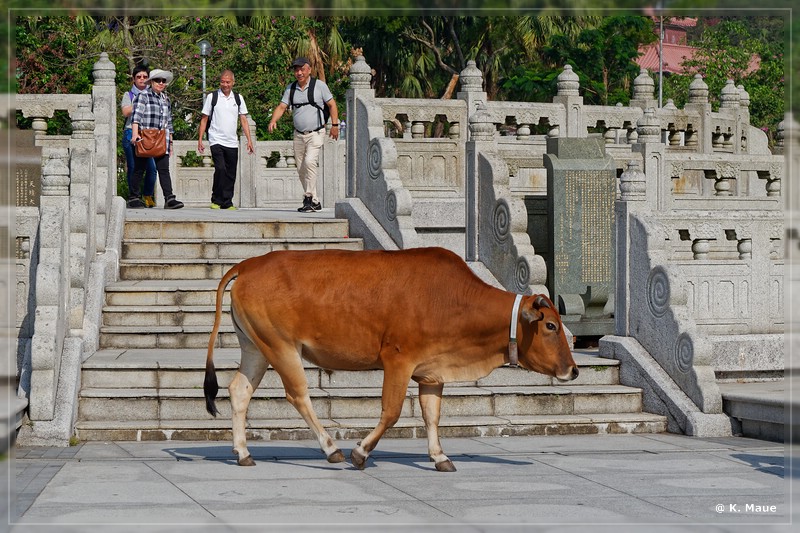 HongKong_2018_0465.jpg