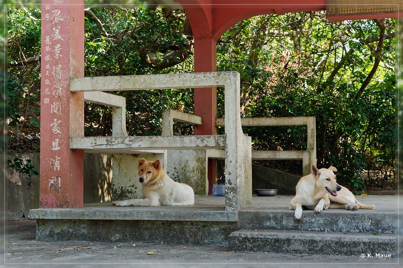 HongKong_2018_0596.jpg