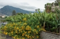 lapalma_2013_047