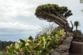 lapalma_2013_063