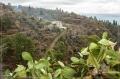 lapalma_2013_064