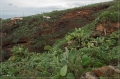 lapalma_2013_071
