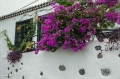 lapalma_2013_115