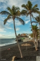 lapalma_2013_130