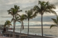 lapalma_2013_131
