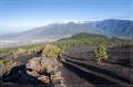 lapalma_2013_160