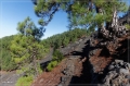 lapalma_2013_163