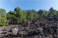 lapalma_2013_164