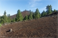 lapalma_2013_167