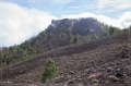 lapalma_2013_171