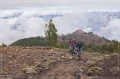 lapalma_2013_172