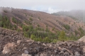 lapalma_2013_176