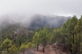 lapalma_2013_177