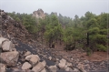 lapalma_2013_180