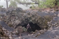 lapalma_2013_181
