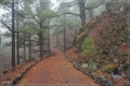 lapalma_2013_182