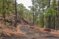 lapalma_2013_200
